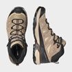 Picture of SALOMON X ULTRA 360 LTR MID GTX DSRTAN/WAL